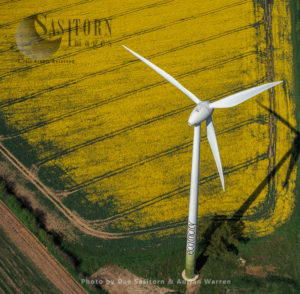 Wnd Turbine with rape field, Norfolk, East Anglia