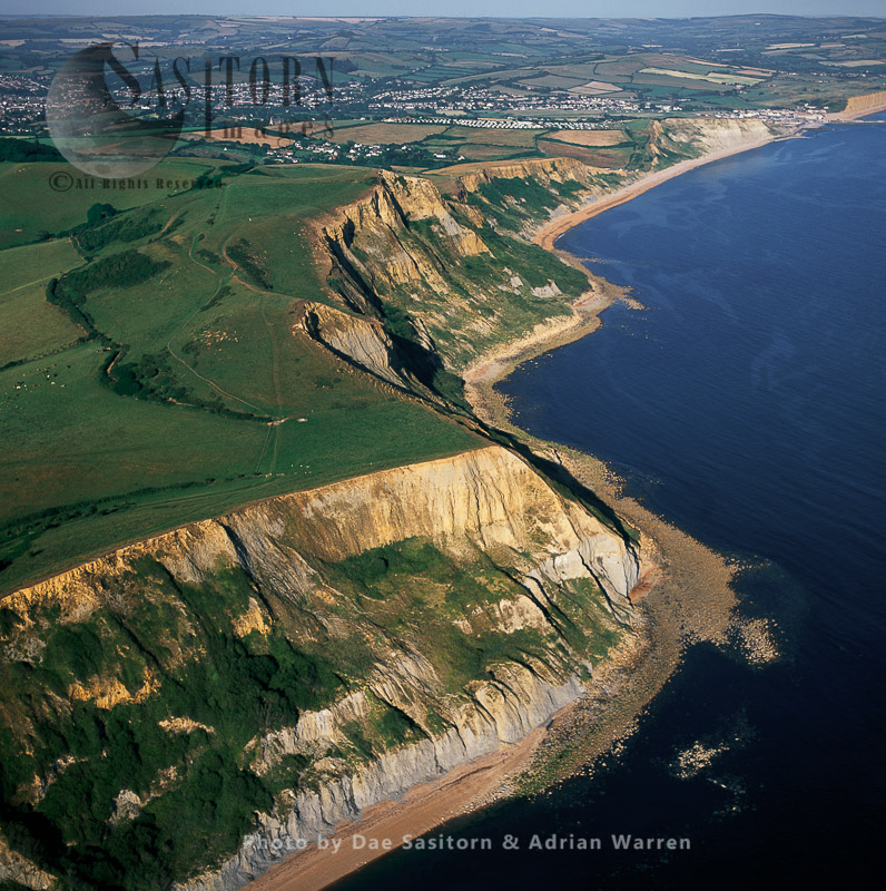 East Ebb and Great Ebb, Jurassic Coast, Dorset