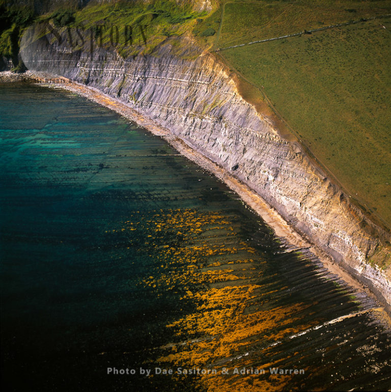 Tyneham Cap, Brandy Bay, Jurassic Coast, Dorset