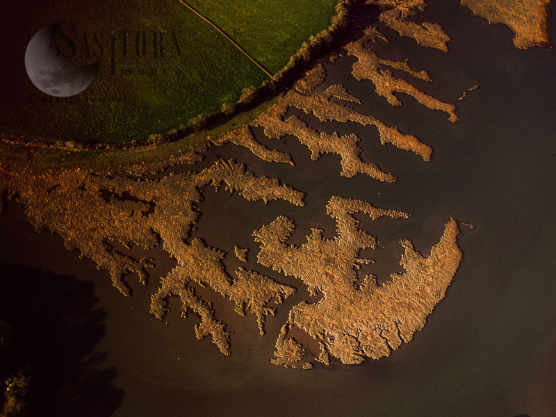 Mudflats on the River Yealm Estuary, Newton Ferrers, Devon