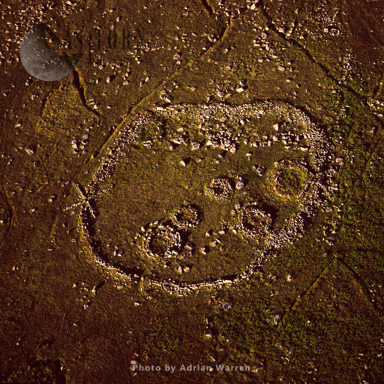 Hut Circles, the round houses of Dartmoor, Middle Bronze Age
