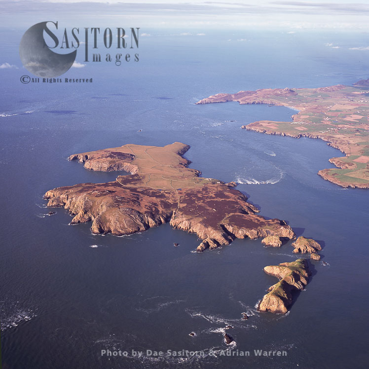 Ramsey Island, an island just off the coast of St David's peninsula in Pembrokeshire