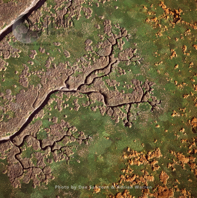 Mudflats on the river Dee Estuary, Flintshire