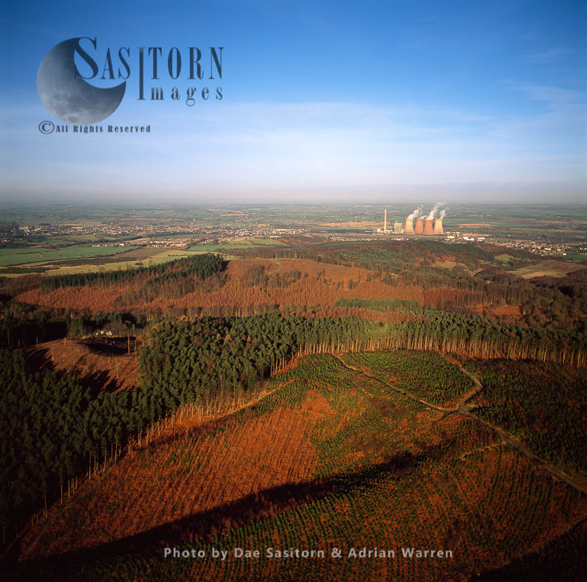 Cannock Chase - forestry with Rugeley power station in background, Staffordshire