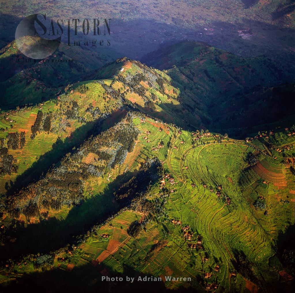 Intensive hillside agriculture on Virunga foothills, Rwanda