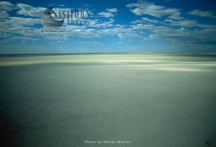 Etosha pan, a large endorheic salt pan, Kalahari Basin, Etosha National Park, Namibia