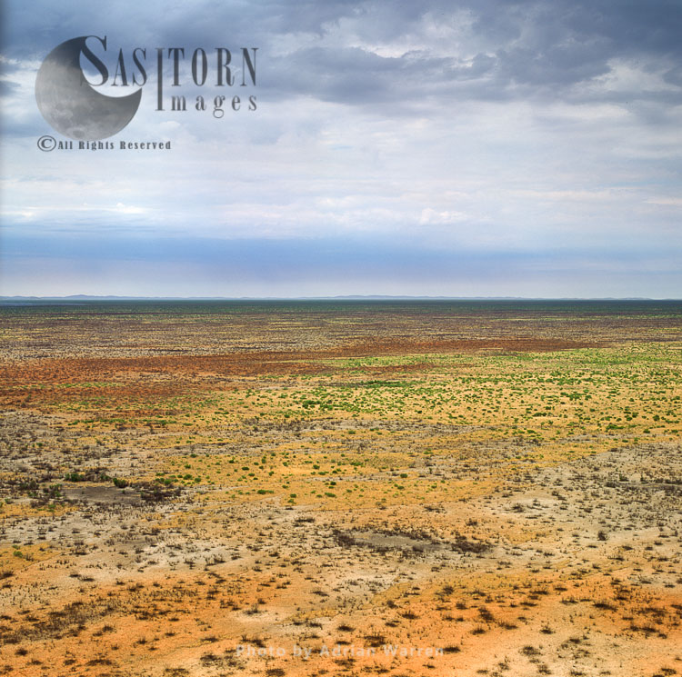Savannah in Etosha National Park with dried up water holes, a game reserve, Namibia