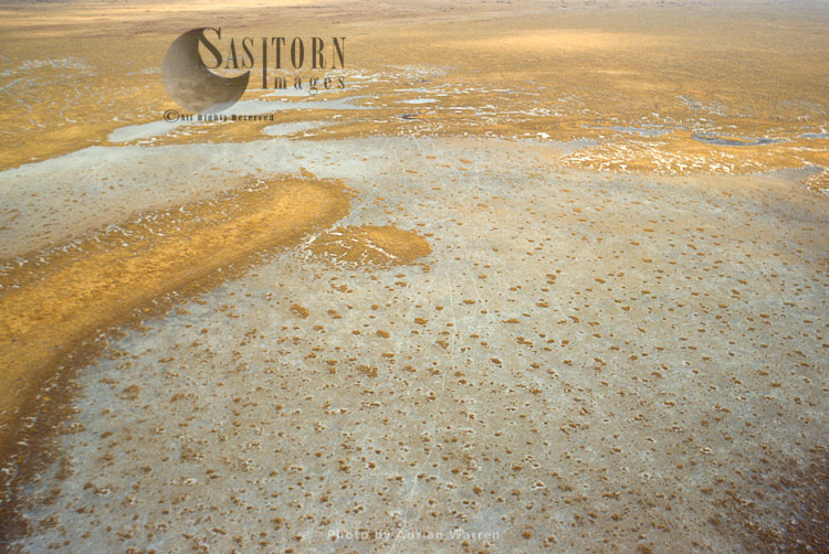 Etosha pan, a large endorheic salt pan, Kalahari Basin, Etosha National Park, Namibia