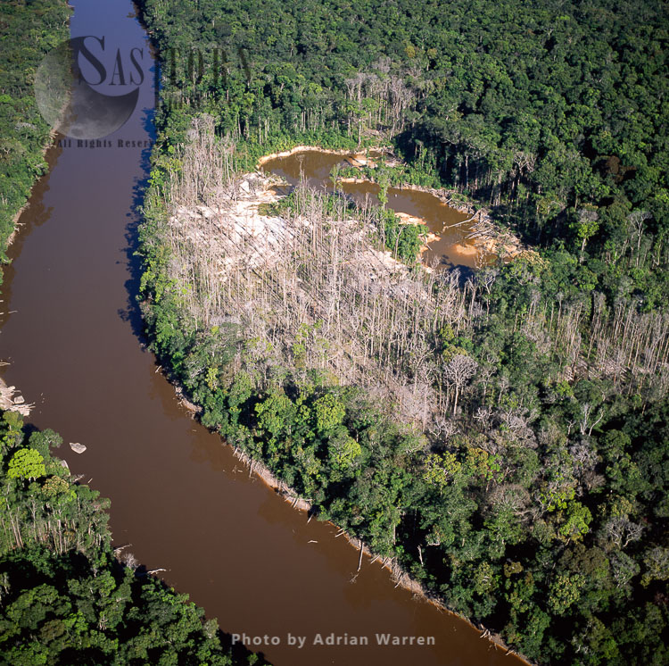 Dead Trees – Mining Damage, (Mazaruni Upstream from Kamarang), Upper Mazaruni District, Guyana