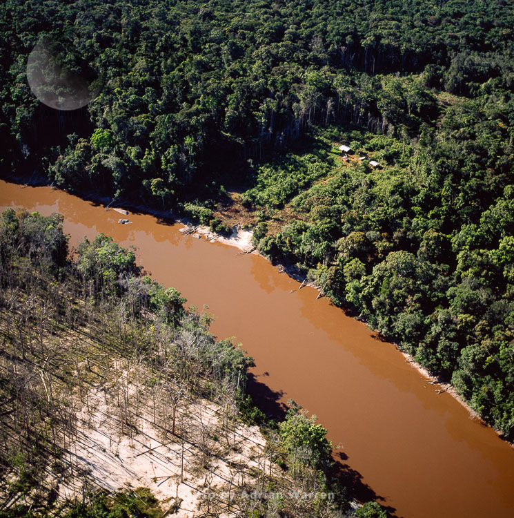 Dead Trees – Mining Damage & Mining Camp, Mazaruni River, Upper Mazaruni District, Guyana