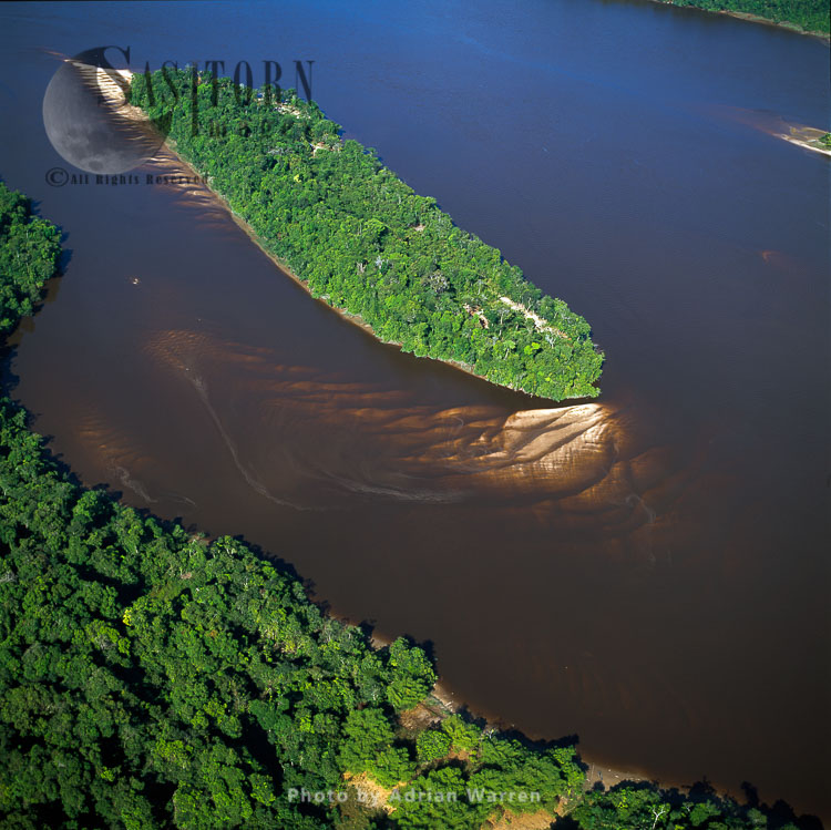 Sloth Island on the Essequibo River, near Bartica, Guyana, South America