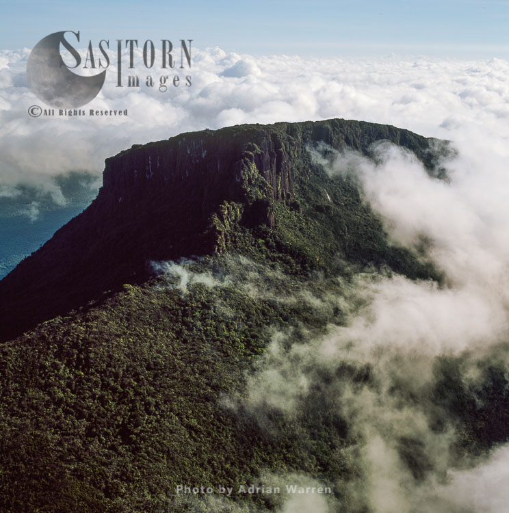 Ayanganna Mountain, Guyana, South America