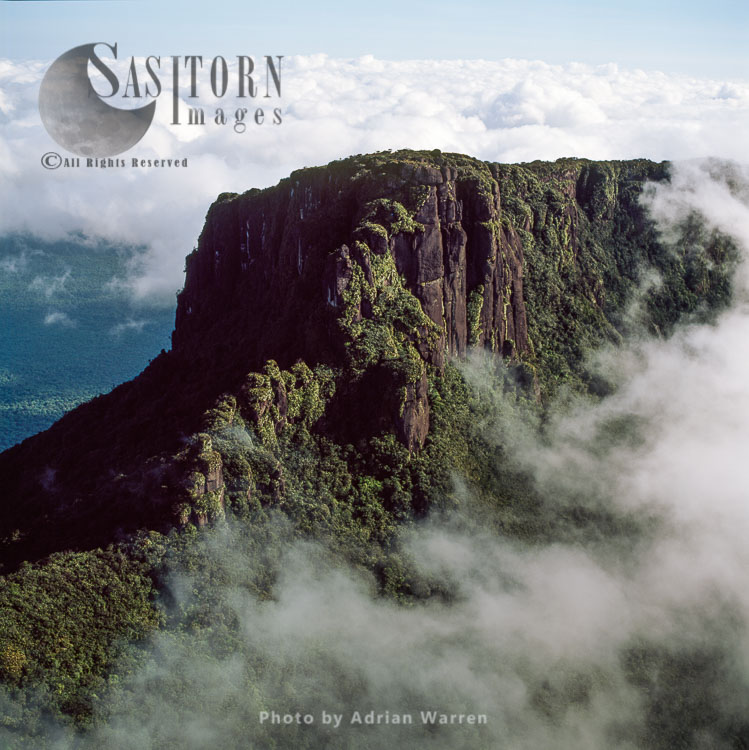 Mount Ayanganna, a sandstone tepui in the Pakaraima Mountains of western Guyana