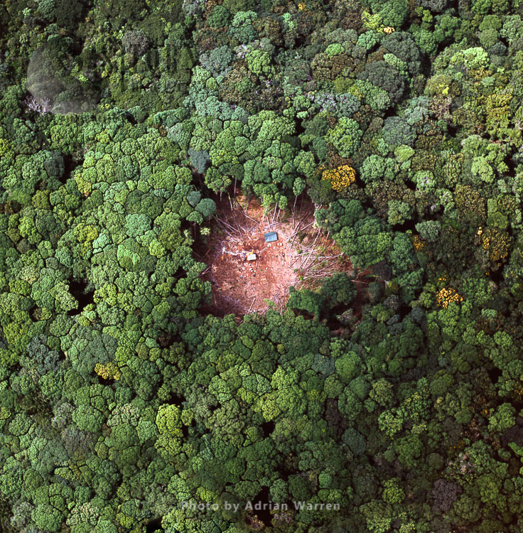 Forest Clearing & Camp, Karisparu, Potaro-Siparuni Region, Guyana