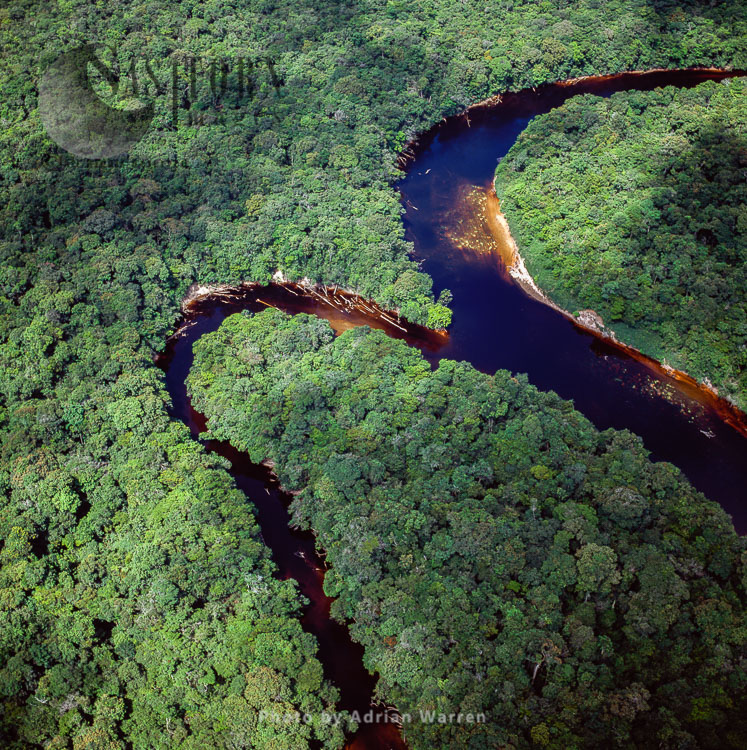 Aerial image of Guyana, South America: confluence of Paikwa River with Kako River, Upper Mazaruni District