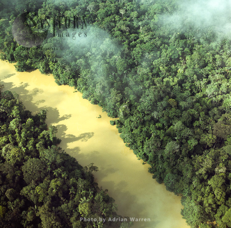 Ecuador Rainforest and River Cononaco - part of the Amazon basin, Cononaco area, South America, 2002