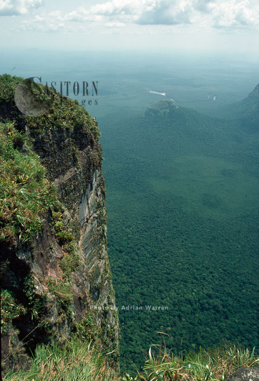 a View from Mount Autana (Cerro Autana), Amazonas territory, Tepuis, Venezuela, South America