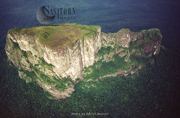 Mount Autana (Cerro Autana), Amazonas territory, Tepuis, Venezuela, South America
