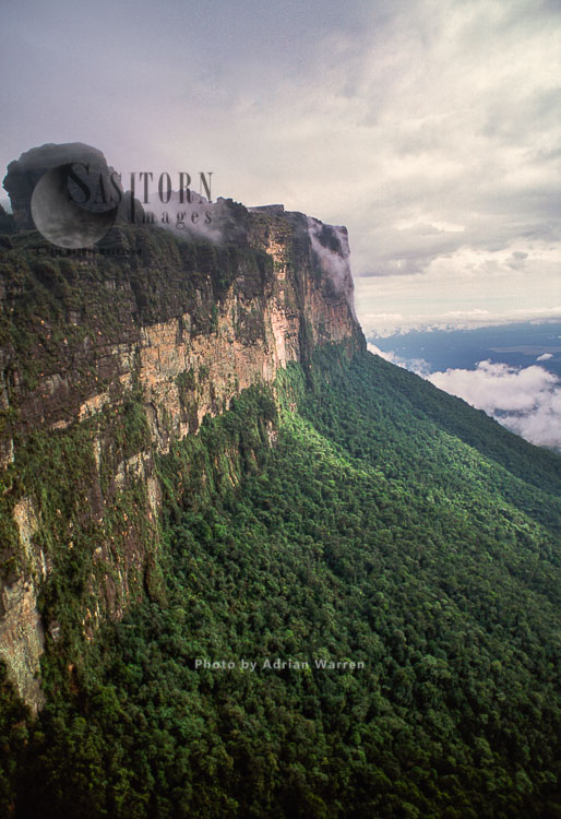 Mount Auyantepui (Auyantepuy, Devil's Mountain), home of the Angel Falls, Venezuela