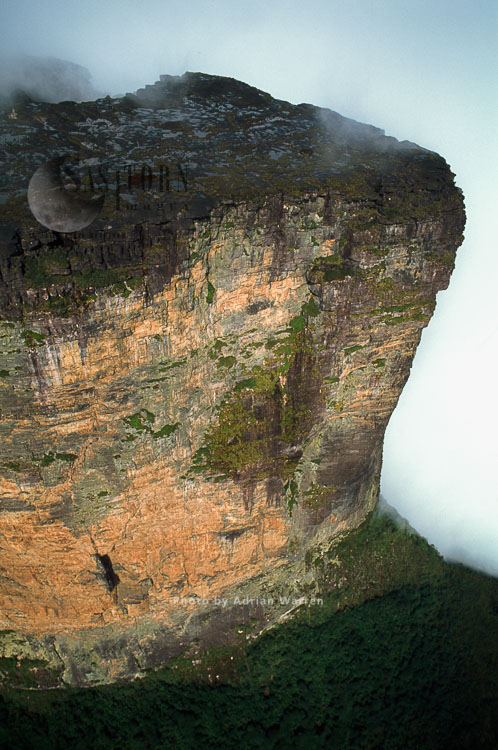 Mount Roraima (Cerro Roraima), northern prow, Tepuis, Venezuela