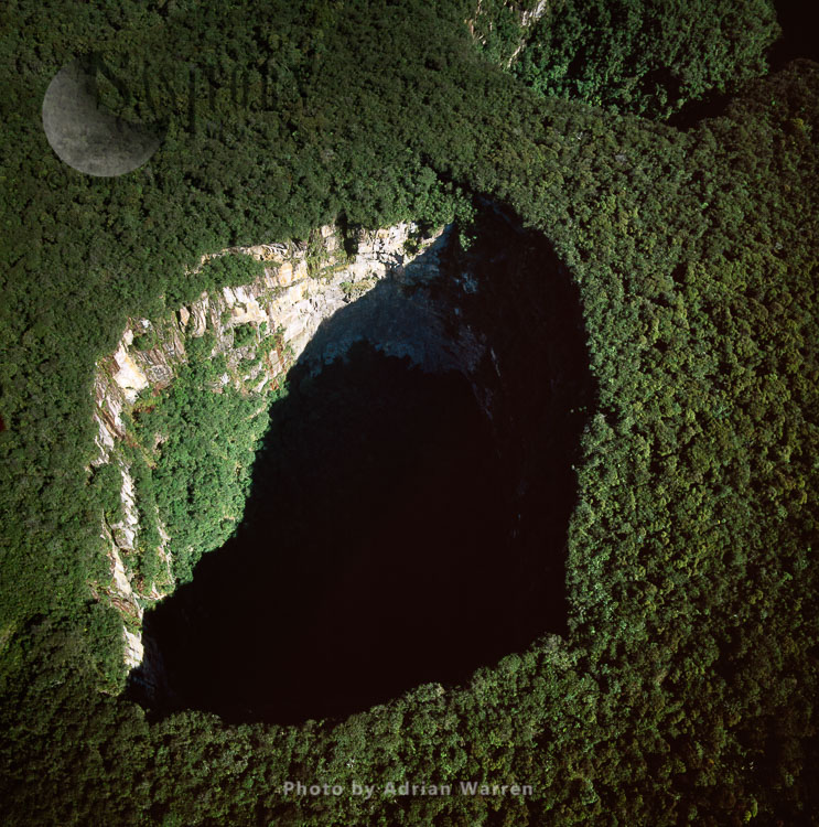 Sarisarinama (Sarisariñama) Sinkhole,  Jaua-Sarisariñama National Park, Bolívar State, Venezuela