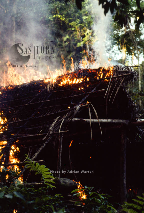 Waorani Indians, Hut burning before moving on, Rio Cononaco, Ecuador, 1983