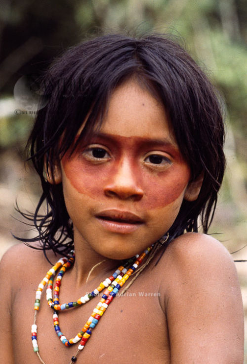 Waorani Indians: Use of ACHIOTE for face decoration, Rio Cononaco ...