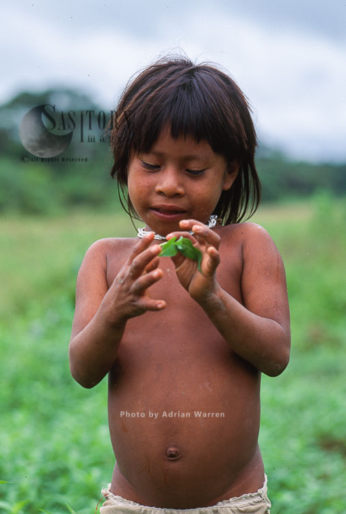 Waorani Indians - girl, Rio Cononaco, Ecuador, 1993
