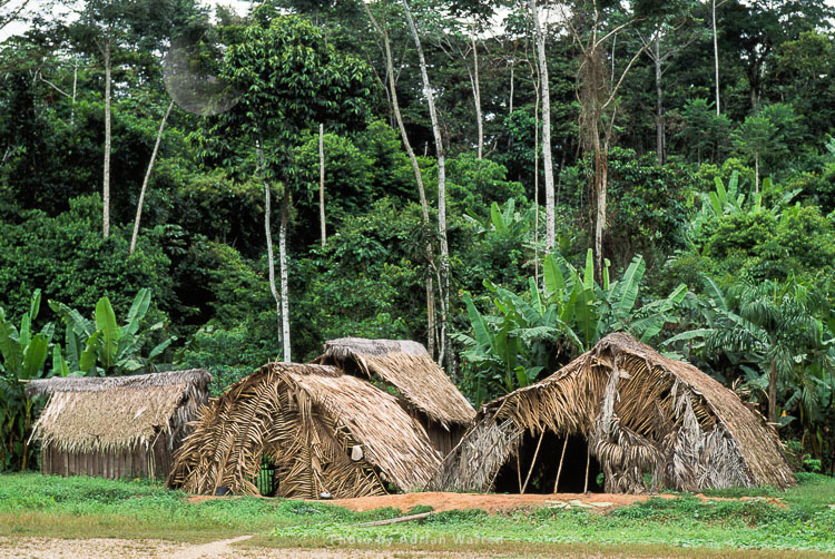 Waorani Indians, Settlement near Cononaco airstrip, Ecuador, 1993