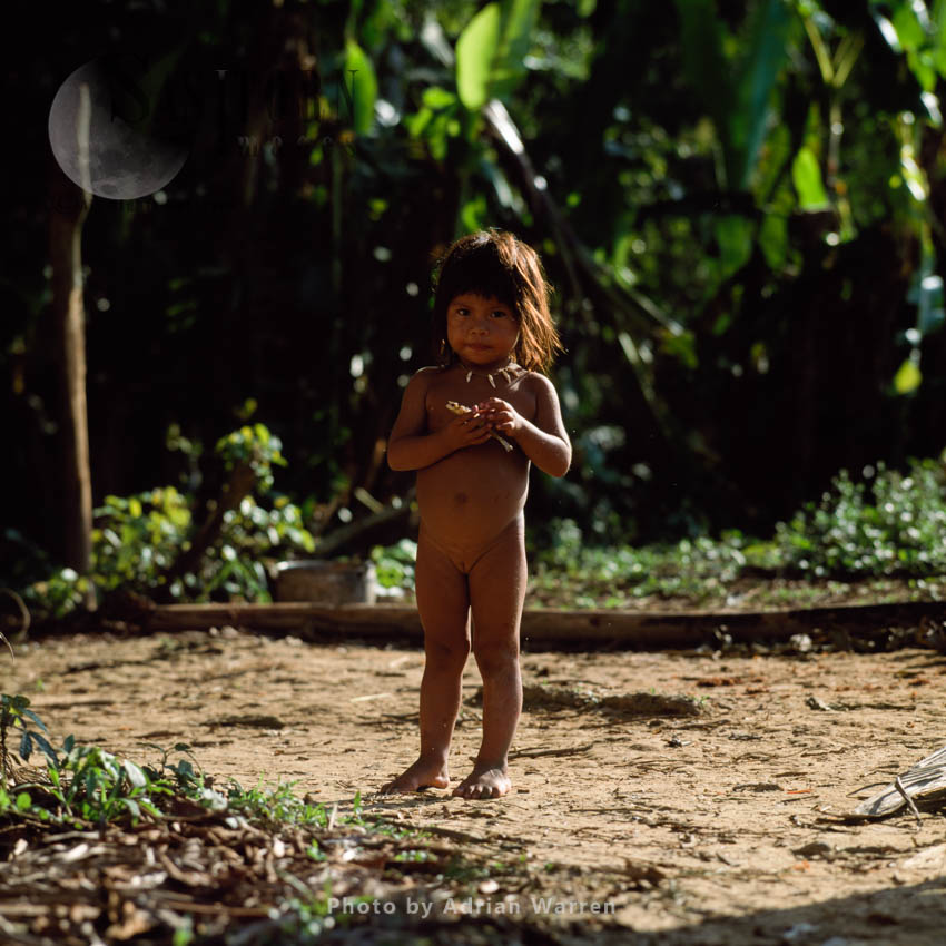 Waorani Indian girl : Rio Cononaco, Ecuador, 2002