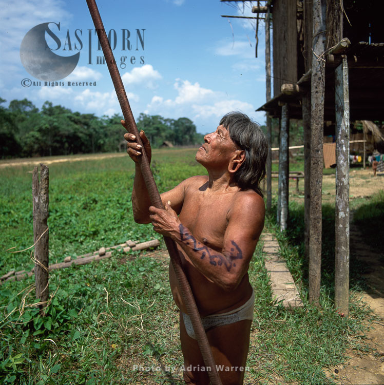 Waorani Indians : Caempaede making Blowgun, Rio Cononaco, Ecuador, 2002