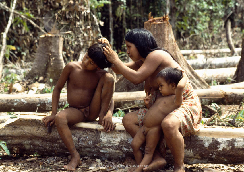Waorani Indians, family grooming, Rio Cononaco, Ecuador, 1983