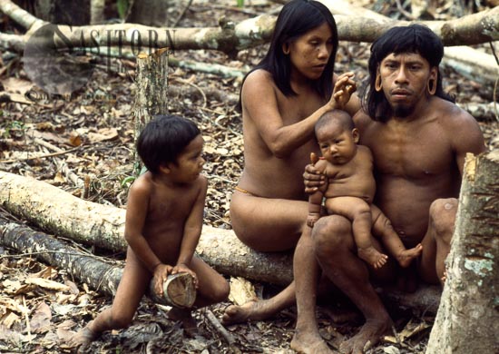 Waorani Indians, family grooming, Rio Cononaco, Ecuador, 1983