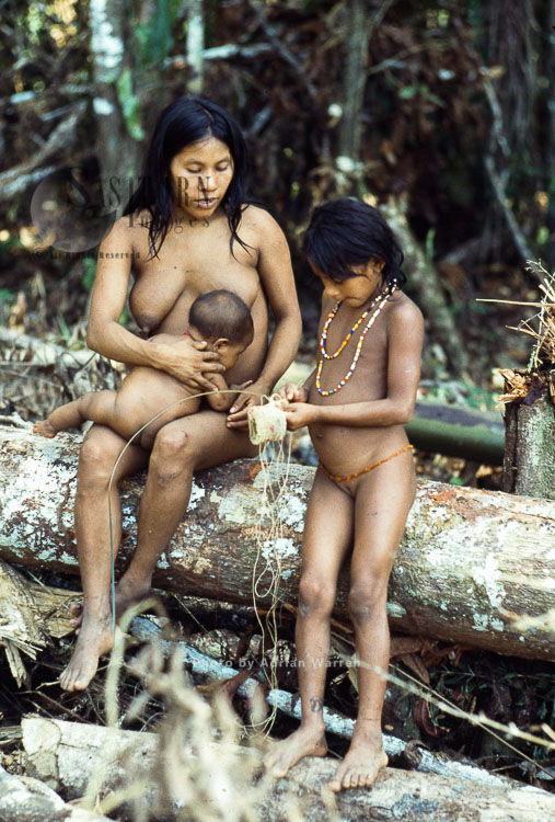 Waorani Indians: Chambira palm fiber made into twine used in making basket, Rio Cononaco, Ecuador