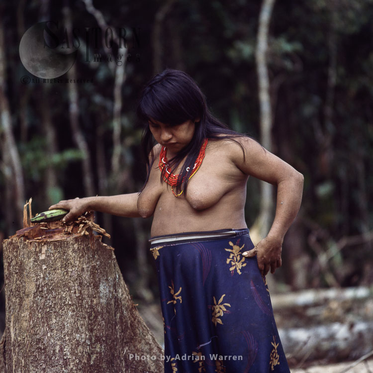 Waorani Indians, a woman, Rio Cononaco, Ecuador, 1983