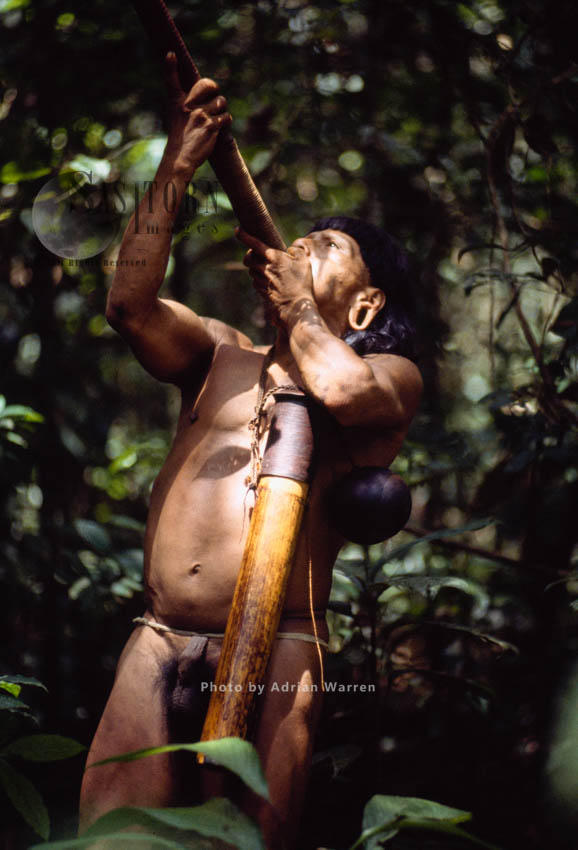 Waorani Indian,  Caempaede hunting, Cononaco Area, Ecuador, 1983