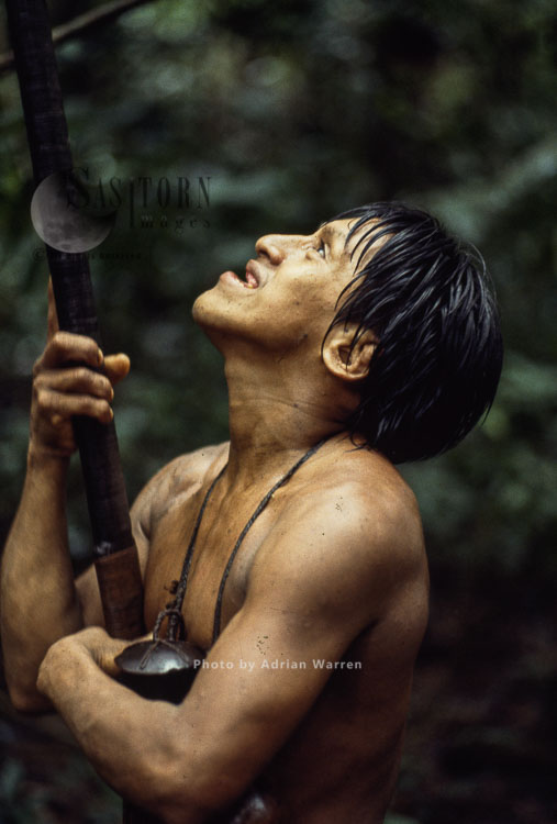 Waorani Indians, hunting, Rio Cononaco, Ecuador, 1983