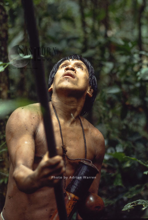 Waorani Indians, hunting, Rio Cononaco, Ecuador, 1983