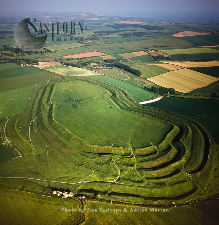Sheep grazing on Maiden Castle, an iron age hill fort, Dorchester, Dorset