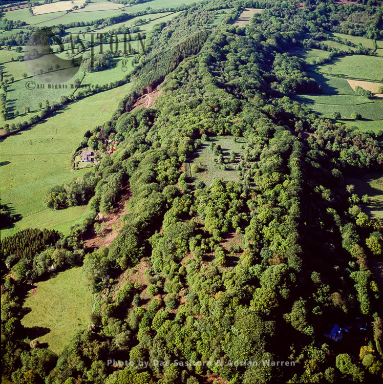 Hembury hill fort (Buckfastleigh), Iron Age, Dartmoor, Devon