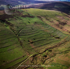 Celtic field system, Dartmoor, Devon, Southwest England