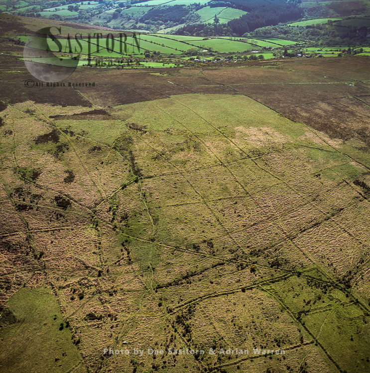 Bronze Age Celtic Field System, Dartmoor