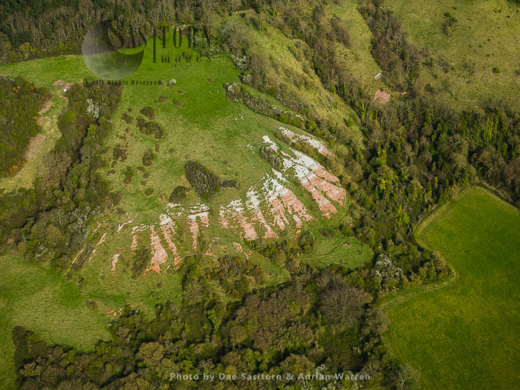 New Hill and Tannager,  limestone downland and woodland on escarpment of Polden Hills, Somerset