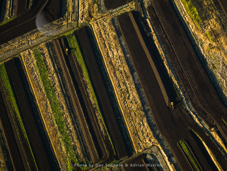 Peat Extraction Sites, Ham Wall, the Somerset Levels, England