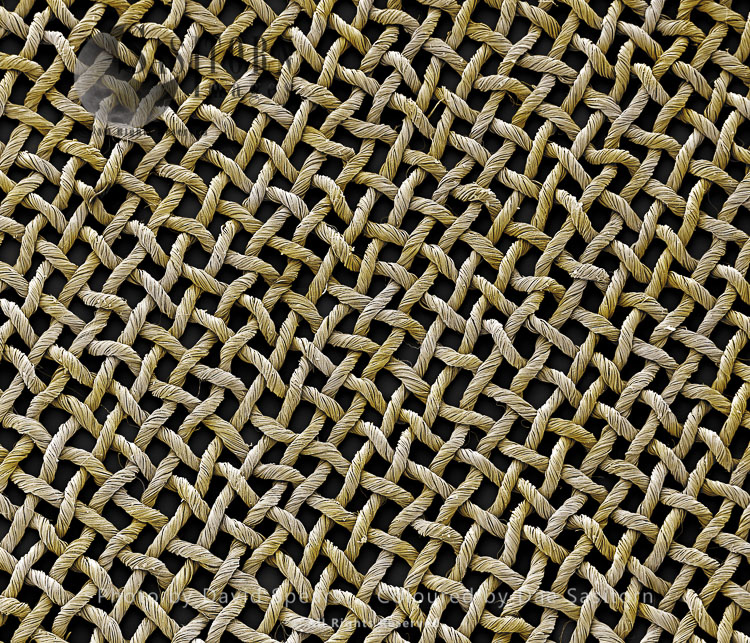 Scanning Electron Micrograph (SEM): Silk fabric material