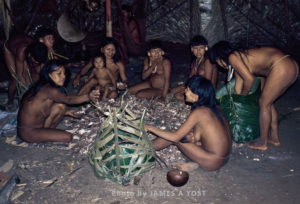 Waorani Indians: Preparations for the aemae are primarily a time for socializing, Gabado, 1974, Ecuador