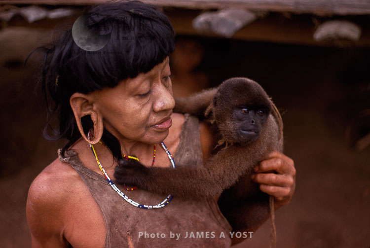 Waorani Indians: Waorani often become quite attached to their pets, like this wooley monkey, Tewaeno, 1975, Ecuador
