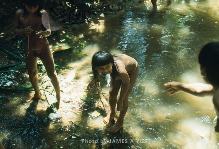 Waorani Indians: When hands are full and you have no pockets, hold the extra fish in the next best place, Gabado, 1975, Ecuador