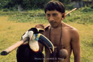 Waorani Indians: A successful hunt of couvier's toucans, Tewaeno, 1974, Ecuador