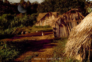 Waorani Indians, Housing styles have varied in Waorani culture since pre-contact times, Tewaeno, Ecuador, 1973